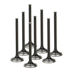 SUPERTECH Valve Kit Exhaust BMW S14 32.50mm Black Nitride
