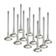 Engine parts SUPERTECH Valve Kit Exhaust Honda B16A 28.00mm (std) Sodium | races-shop.com