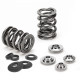 Engine parts SUPERTECH Valve Spring Kit VW VR6 12v | races-shop.com
