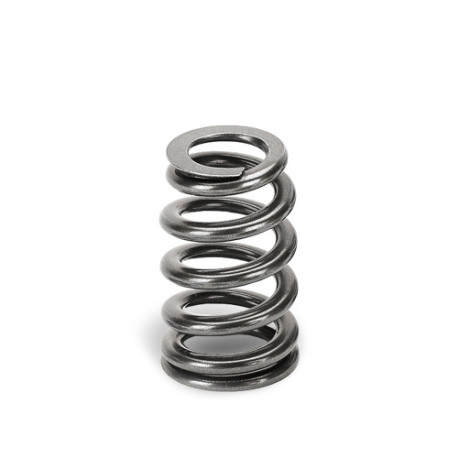 Engine parts SUPERTECH valve springs (single) | races-shop.com