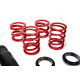 MTS Technik komplet MTS STANCE SERIES coilover kit for BMW 3 (E46) 12/97 - 05/05 (Gold) | races-shop.com