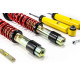 MTS Technik komplet MTS STANCE SERIES coilover kit for BMW 5 Touring (E61) 03/04 - 12/10 (Gold) | races-shop.com