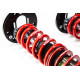 MTS Technik komplet MTS STREET SERIES coilover kit for BMW 3 (E46) 12/97 - 05/05 (Gold) | races-shop.com