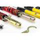 MTS Technik komplet MTS STREET SERIES coilover kit for BMW 3 (E46) 12/97 - 05/05 (Gold) | races-shop.com
