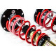MTS Technik komplet MTS STREET SERIES coilover kit for BMW 1 (F40) 07/19 - (Gold) | races-shop.com