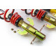 MTS Technik komplet MTS STREET SERIES coilover kit for Ford FIESTA V (JH/JD) 11/01 - 12/11 (Gold) | races-shop.com