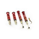 MTS Technik komplet MTS STREET SERIES coilover kit for Honda ACCORD VII (CL/CN) 02/03 - 05/08 (Gold) | races-shop.com