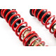 MTS Technik komplet MTS STREET SERIES coilover kit for Honda ACCORD VII (CL/CN) 02/03 - 05/08 (Gold) | races-shop.com