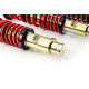 MTS Technik komplet MTS STREET SERIES coilover kit for Honda ACCORD VII (CL/CN) 02/03 - 05/08 (Gold) | races-shop.com