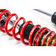 MTS Technik komplet MTS STREET SERIES coilover kit for Honda CIVIC IX (FK) 02/12 - 12/16 (Gold) | races-shop.com