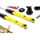 MTS Technik komplet MTS STREET SERIES coilover kit for Honda CIVIC IX (FK) 02/12 - 12/16 (Gold) | races-shop.com