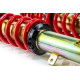 MTS Technik komplet MTS STREET SERIES coilover kit for Lexus IS III (E3) 04/13 - 09/20 (Gold) | races-shop.com