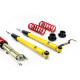 MTS Technik komplet MTS STREET SERIES coilover kit for Lexus IS III (E3) 04/13 - 09/20 (Gold) | races-shop.com