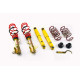 MTS Technik komplet MTS STREET SERIES coilover kit for Opel ZAFIRA / ZAFIRA FAMILY B (A05) 07/05 - 04/15 (Gold) | races-shop.com