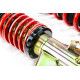 MTS Technik komplet MTS STREET SERIES coilover kit for Scion FR-S Coupe 03/12 - (Gold) | races-shop.com