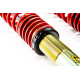 MTS Technik komplet MTS STREET SERIES coilover kit for Toyota COROLLA (E12) 01/01 - 12/07 (Gold) | races-shop.com