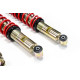 MTS Technik komplet MTS STANCE SERIES coilover kit for Volkswagen GOLF II (19E/1G1) 08/83 - 12/92 (Gold) | races-shop.com
