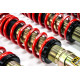 MTS Technik komplet MTS STREET SERIES coilover kit for Seat TOLEDO I (1L) 05/91 - 03/99 (Gold) | races-shop.com