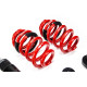 MTS Technik komplet MTS STREET SERIES coilover kit for Audi A4 B9 Avant (8W) 08/15 - (Inox) | races-shop.com