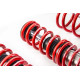 MTS Technik komplet MTS STREET SERIES coilover kit for BMW 5 (E39) 09/95 - 06/03 (Inox) | races-shop.com