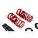 MTS Technik komplet MTS STANCE SERIES coilover kit for BMW 3 (E36) 09/90 - 11/98 (Inox) | races-shop.com
