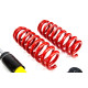 MTS Technik komplet MTS STREET SERIES coilover kit for BMW 3 Gran Turismo (F34) 07/12 - (Inox) | races-shop.com