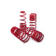 MTS Technik komplet Lowering springs MTS Technik Audi A3 Sportback (8P) 01/11 - 12/12, 20 mm / - | races-shop.com