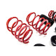 Height adjustable suspension - Coilovers MTS adjustable springs for Audi A3 Limousine (8Y) 04/20 - | races-shop.com