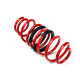 Height adjustable suspension - Coilovers MTS adjustable springs for Skoda OCTAVIA IV (NX) 01/20 - | races-shop.com