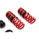 Height adjustable suspension - Coilovers MTS adjustable springs for BMW 3 (G20/G80/G28) 11/18 - | races-shop.com
