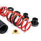 Height adjustable suspension - Coilovers MTS adjustable springs for Volkswagen GOLF VIII (CD1) 06/24 - | races-shop.com