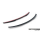 Body kit and visual accessories Spoiler Cap Mercedes-AMG GT R C190 Facelift | races-shop.com