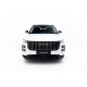 Body kit and visual accessories Front Splitter Jaecoo 7 Mk1 | races-shop.com