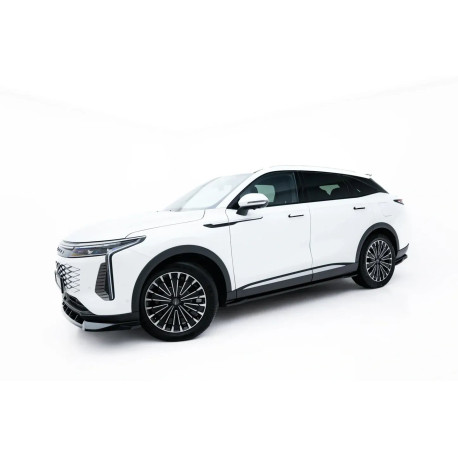 Body kit and visual accessories Set of Splitters Omoda 9 Mk1 | races-shop.com