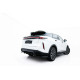 Body kit and visual accessories Rear Splitter (with vertical bars) Omoda 9 Mk1 | races-shop.com
