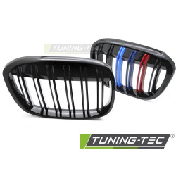 Grille Sport Double for BMW X1 F48 15-20 (Glossy Black Tri-Colour)