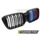 Body kit and visual accessories Grille Sport Double Bar for BMW X3 G01 LCI / X4 G02 LCI 21-25 (Glossy Black Tri-colour) | races-shop.com