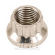 Engine parts ARP Stainless Steel 12-Point Nut Kit - 1/2-20 Thread Size | races-shop.com