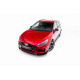 Body kit and visual accessories Set of Splitters V.1 Hyundai I30 N-Line Wagon Mk3 Facelift | races-shop.com