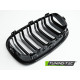 Body kit and visual accessories RACES grille (Sport) for BMW F20 / F21 11-14, glossy black | races-shop.com