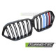 Body kit and visual accessories TUNING-TEC grille (Sport Double Bar M-Look) for BMW X6 G06 19-23, glossy black | races-shop.com