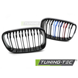 TUNING-TEC grille (Sport Double Bar M-Look) for BMW F20 / F21 11-14, black