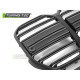 Body kit and visual accessories TUNING-TEC grille for BMW G26 GRAN COUPE 21, matt black | races-shop.com