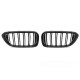 Body kit and visual accessories TUNING-TEC grille (Sport Double Bar) for BMW G32 17-20, glossy black | races-shop.com