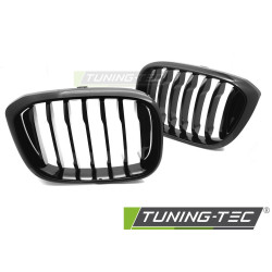 TUNING-TEC grille for BMW X3 G01 17-21 / X4 G02 18-21, glossy black