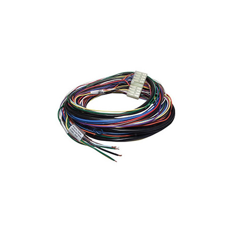 Standalone ecu, display and accessories Link Loom G1 2ML | races-shop.com