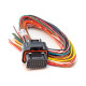 Standalone ecu, display and accessories Link A Loom short (0LA) | races-shop.com