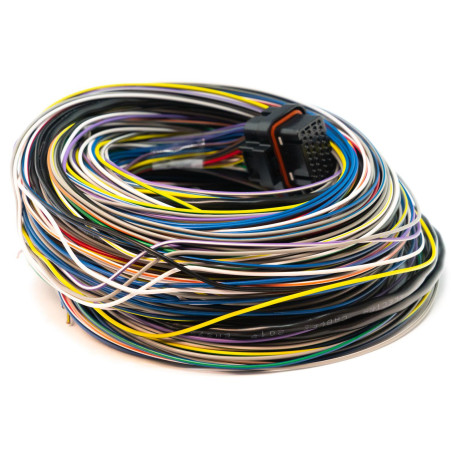 Standalone ecu, display and accessories Link B Loom Long (5LB) | races-shop.com