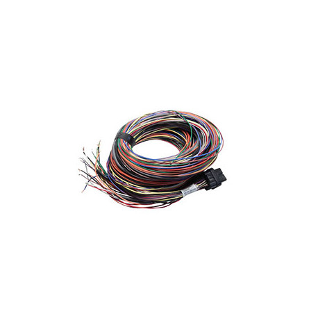Standalone ecu, display and accessories Link Old G4 Atom & Lightning 5m (5LT) | races-shop.com