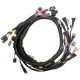 Standalone ecu, display and accessories Link Terminated Engine Harness GM LS GEN3/4 | races-shop.com